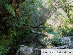 espace jeune la rencontre fougeres